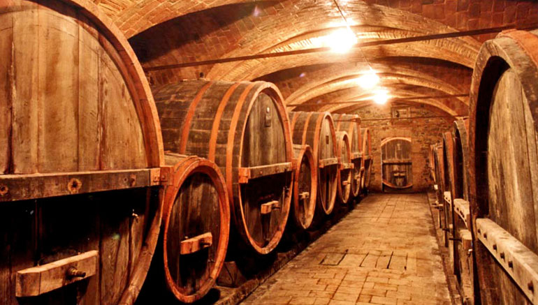 Chianti wine cellars